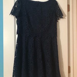 Beautiful Shani Popover Navy Lace dress 16